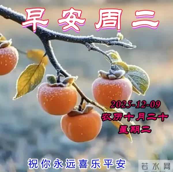 2025.12.09今日十月二十——早上好，周二祝福问候语，早安图片