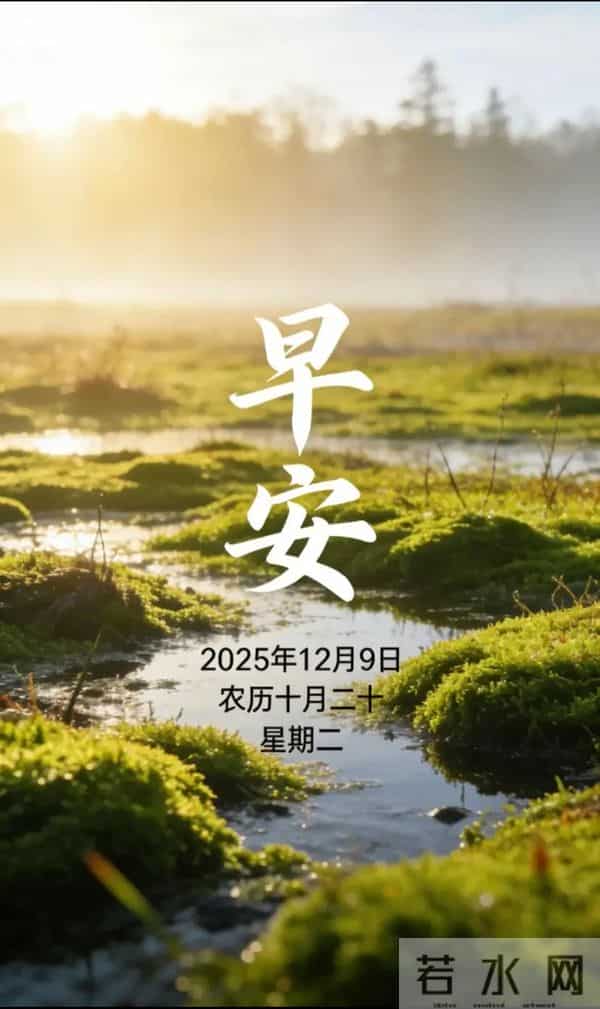 2025.12.9 冬天周二早安愉快！最新精美周二早上好温馨祝福语图片