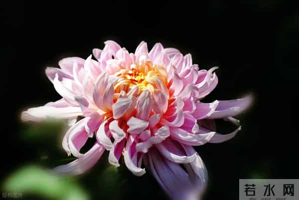 男人对你，经常有这些主动，就是深爱你了