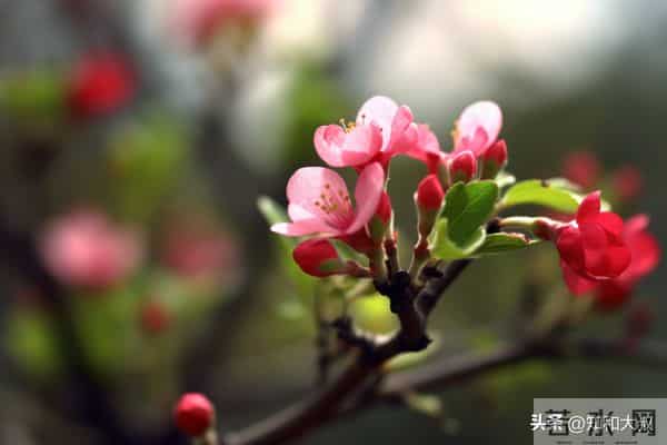 一个女人，身上有这3个习惯，说明她很聪明、不简单