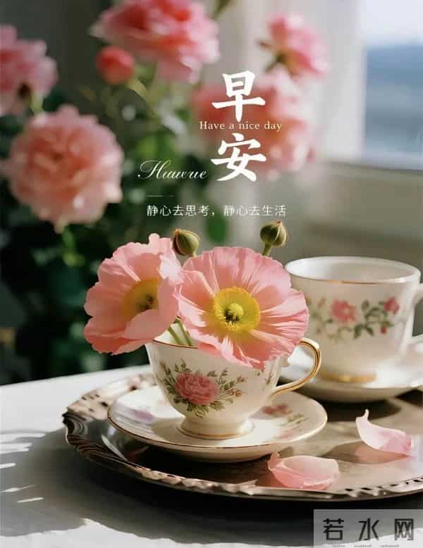 2025.12.09 冬天周二早安愉快!最新精美周二早上好温馨祝福语图片