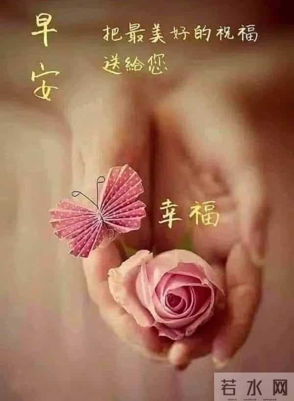 早安,以花寄暖,日常皆安。