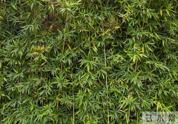 发现了没有,很多丧偶的女人,在外面从来不说!自己是已经丧偶的