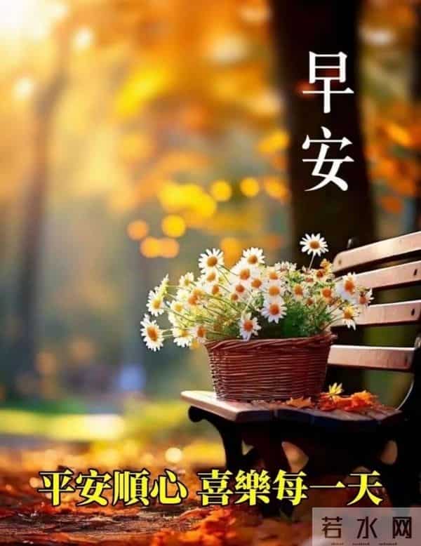 早安,以花寄暖,日常皆安。