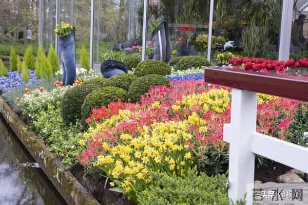 两性关系：多数女性步入60岁，最藏不住的4个渴望，你真的明白吗