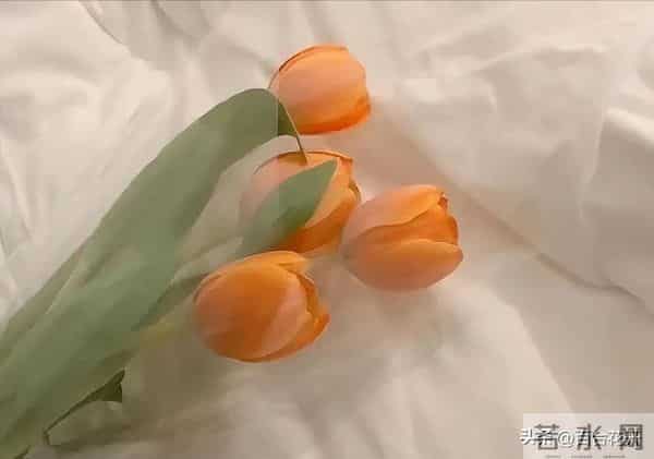 两性关系：女人对男人入了心，才会出现这些本能反应，藏不住的