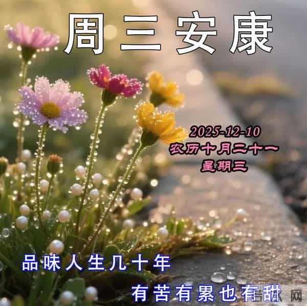 周三早安问候美图-冬意渐浓,时光清浅;心若安然,幸福蔓延