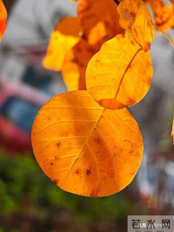 认真收拾家务的人,内心都很平静……