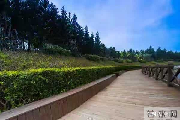 发现妻子在外儿女双全，我平静的离了婚，两年后她带着娃上门认爹