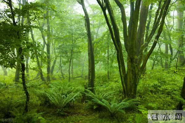 人民日报金句摘抄(1254)