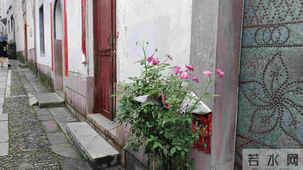 女儿不要彩礼和婚宴,我和老伴也取消陪嫁,女儿男友跟她提出分手