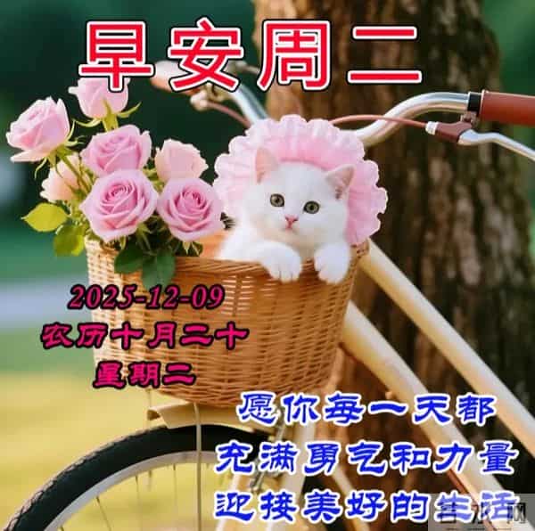2025.12.09今日十月二十——早上好，周二祝福问候语，早安图片