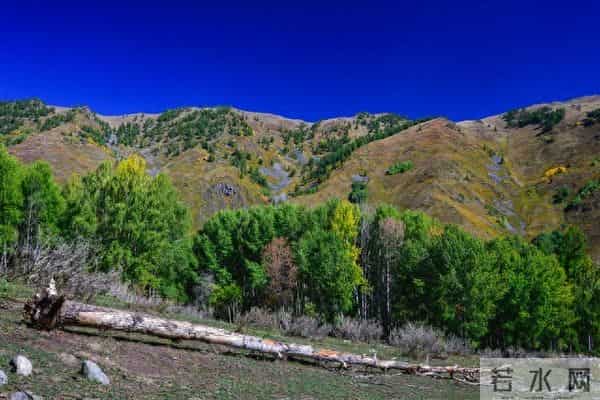 学会一种很厉害的本事：大大方方地“小气”