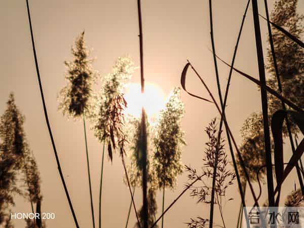 如果我们人生中也有个导航 我们就不会在迷途里慌张