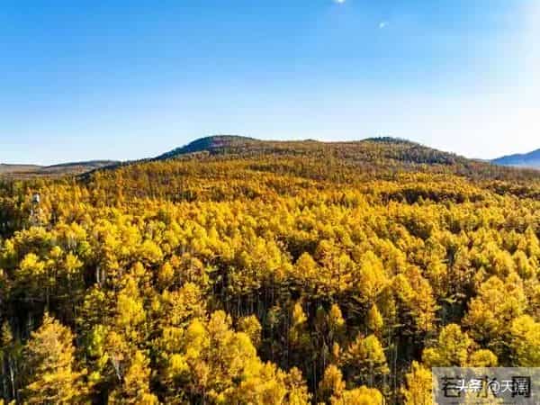 尽量不要跟身边任何人！包括你的亲人，分享这4件事