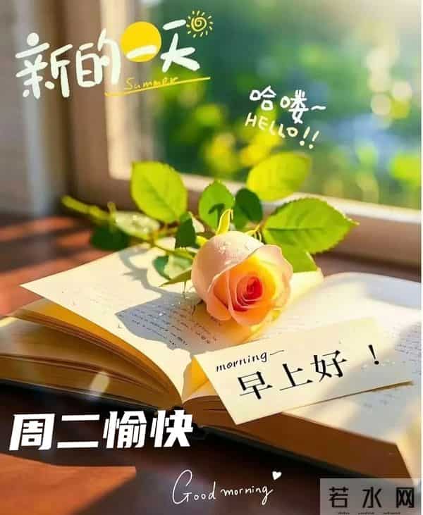 早上好温馨问候祝福语 最新早安精美图片 周二愉快的温馨图片 早上好
