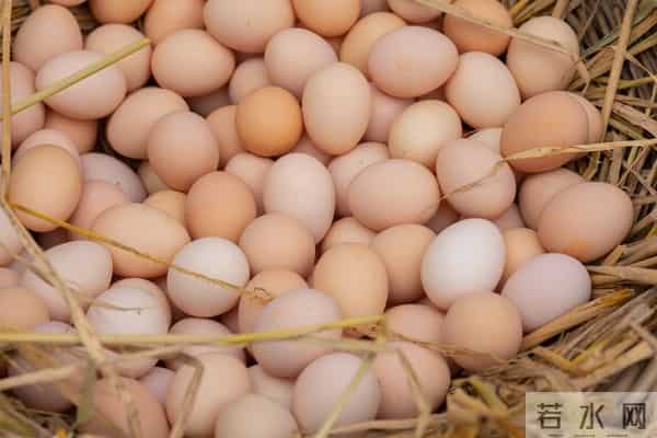 八十年代的婚姻（三）