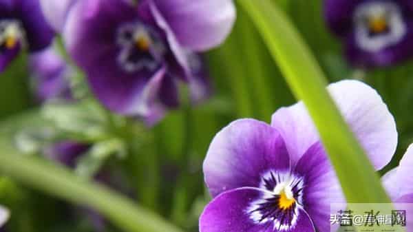 12月10日,天秤座,未来9日,会有事即将发生!