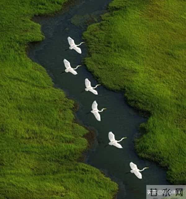 丧偶不仅仅是缘分已尽，而是告诉你，新的人生要重新开始了