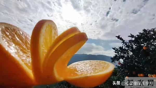 别问来得及与否,即刻启程,时光自会成全你