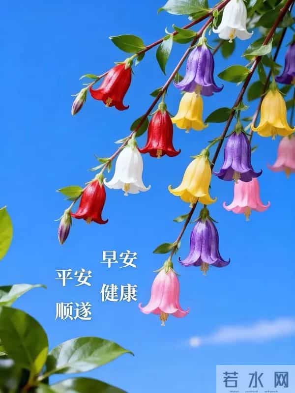 2025年12月9日，星期二，农历十月二十，早安吉祥祝福语！