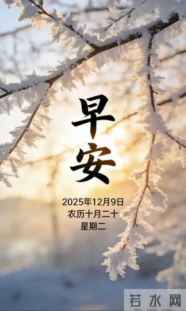 2025.12.9 冬天周二早安愉快！最新精美周二早上好温馨祝福语图片