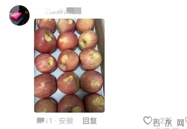 用一张没有孩子的照片，证明你有孩子！网友哭喊：此刻已不是少年