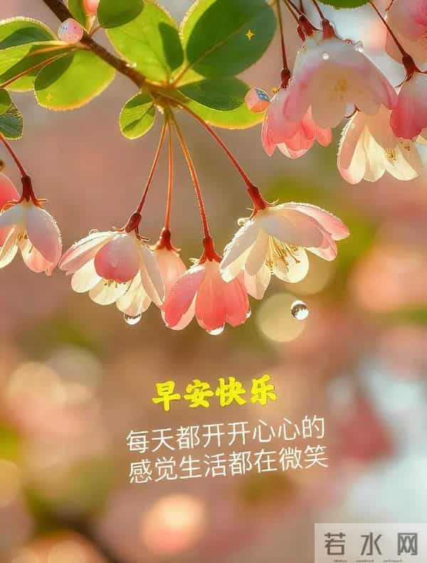 2025.12.09 冬天周二早安愉快!最新精美周二早上好温馨祝福语图片