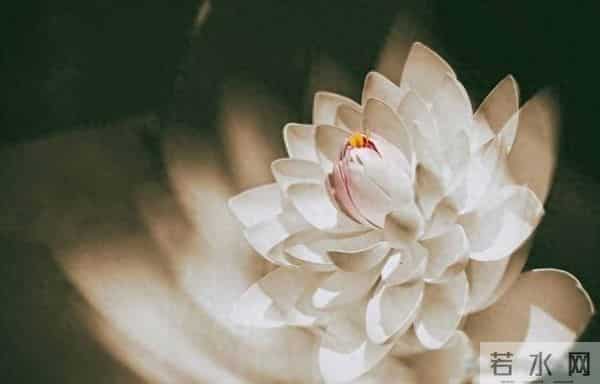 老了才明白-凡是父母去世当天,哭得最厉害的,大概都不是孝子