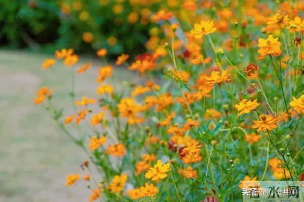 两性关系扒光给你看：10个的真相，不准反驳