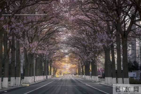 两性关系：多数女性步入60岁，最藏不住的4个渴望，你真的明白吗