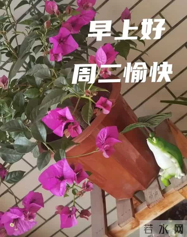 2025年12月9日早上好 早上好温馨问候祝福语 早安精美图片 周二愉快