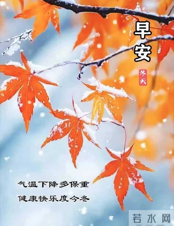 2025.12.10 冬天周三早安愉快！最新精美周三早上好温馨祝福语图片