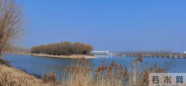 老家的大哥（一）：劳苦一生，人走无痕