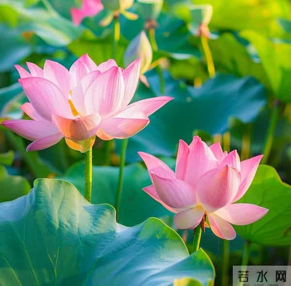 有福同享,爱你到永远