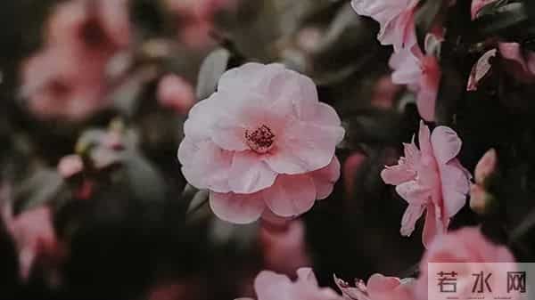 女人有没有对你动心，其实根本不用猜，就看这一点就知道了