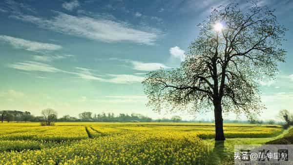 白羊，第二名：12月10号至13号，尤其是11号，得跟你说个实在话！