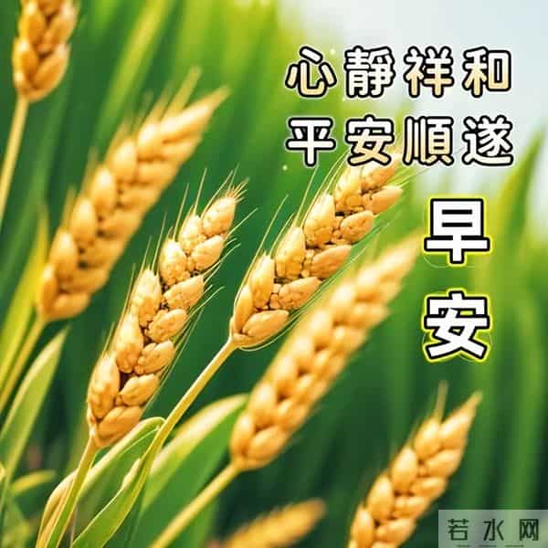 12月9日今天最新问候语早上好，清晨祝福语录，愿你好运常伴