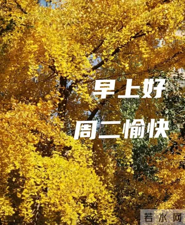 2025年12月9日早上好 早上好温馨问候祝福语 早安精美图片 周二愉快