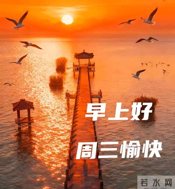 周三早安愉快 早上好温馨问候祝福语 最新早安精美图片 周三愉快