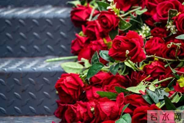 你是我的梦中情人，是我一生的挚爱