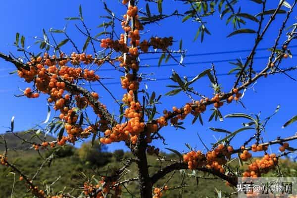 男人爱你”和“男人玩你”，身体语言不会说谎。