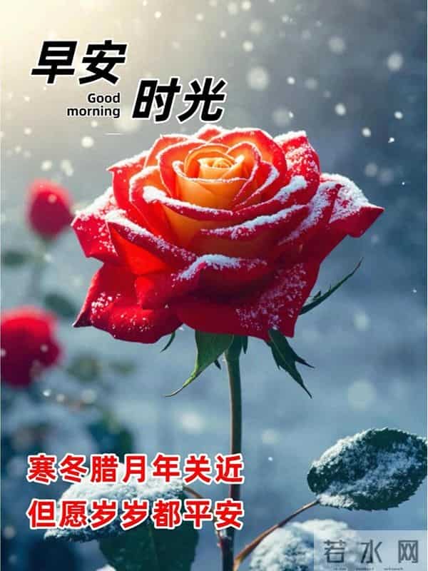 12月10日早上好 早上好温馨问候图片 早安图片最新今天 周三快乐