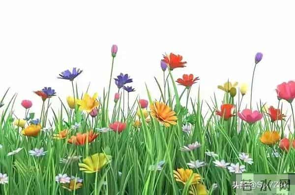 忠告子女:再孝顺,也不要为年过70的老父老母,做这4件事