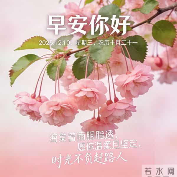 2025.12.10 早安祝福 围巾手套御严寒 亲友叮咛情意暖 早安幸福万年长