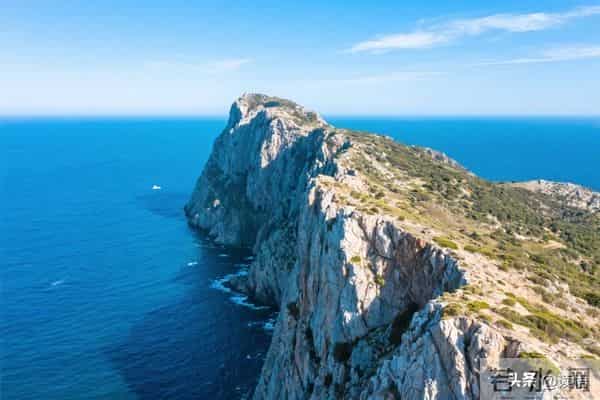 人性铁律：敢在言语上冒犯你的人，做事绝不会对你友善