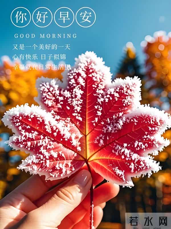 朋友圈早安高级文案，新的一天，愿你与优秀悄然相逢。