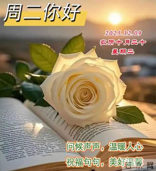 2025.12.09今日十月二十——早上好，周二祝福问候语，早安图片
