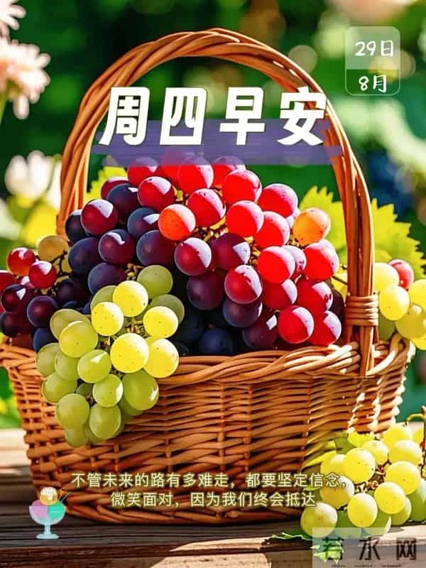 2025年12月11日周四早安 早上好图片最新今天 温馨淡雅的早安图片