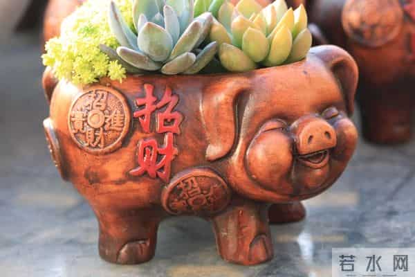 属猪人，“牙齿碰着石头”，将有“一个人”来找你！一定要小心！